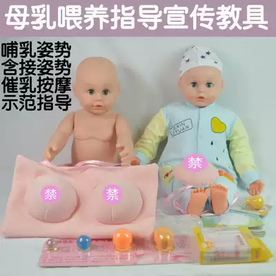 Pregnant women's school breastfeeding publicity guidance teaching aids Baby-Friendly Hospital Breastfeeding guidance publicity teaching model