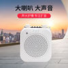 Wenquxing Amplifier Teaching Device Little Bee Amplifier with Long Battery Life, High Power, Loud Speaker, Big Sound K9