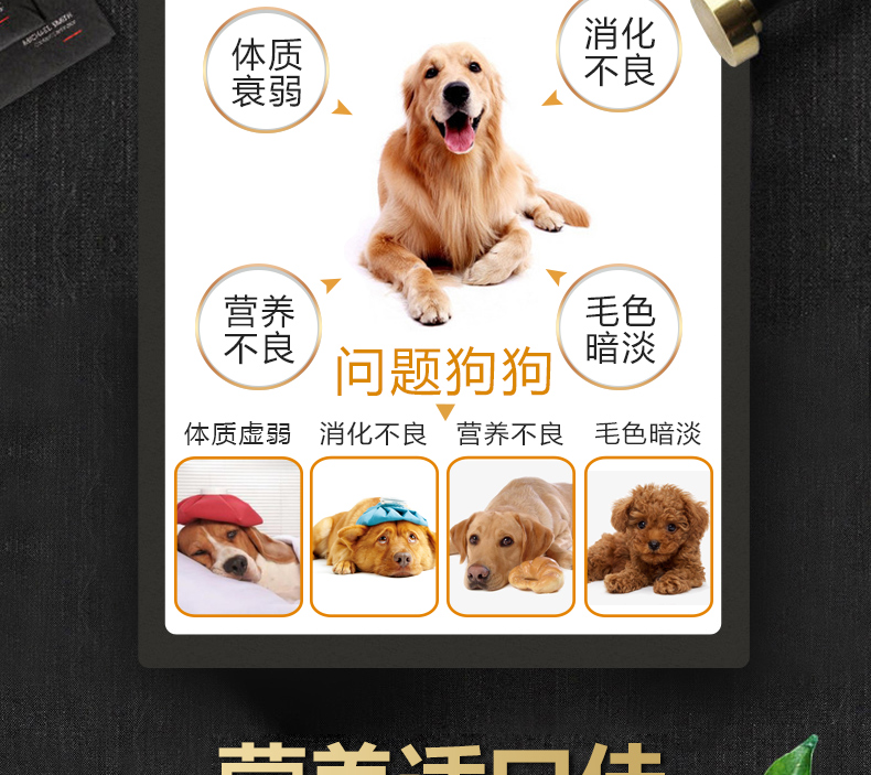 Thức ăn cho chó trưởng thành của Remy Gao Alice Universal 10kg20kg Teddy Golden Bear Bear Nhỏ vừa Lớn - Chó Staples thức ăn thú cưng