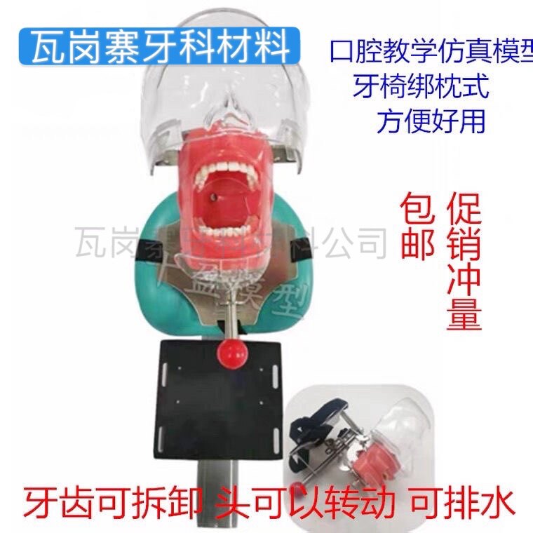 牙科口腔材料牙齿教学模型根管开髓备牙修复贴面牙模型仿真头模