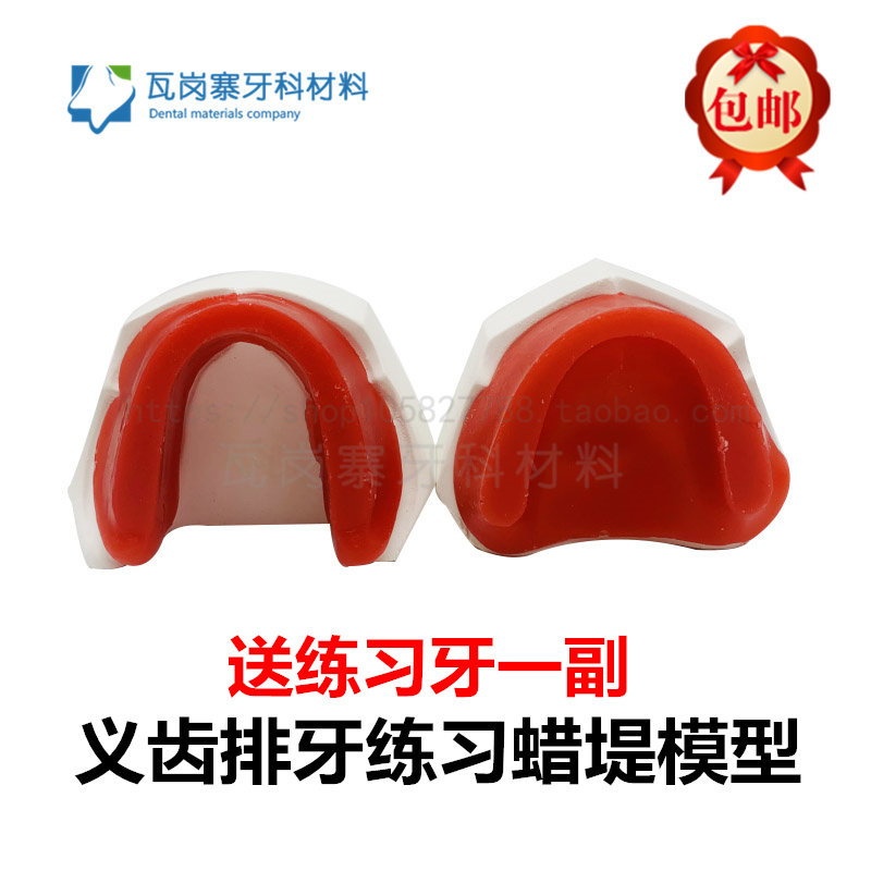牙科口腔蜡堤模型 口腔技工实习排牙义齿蜡型基托排列带底座 包邮