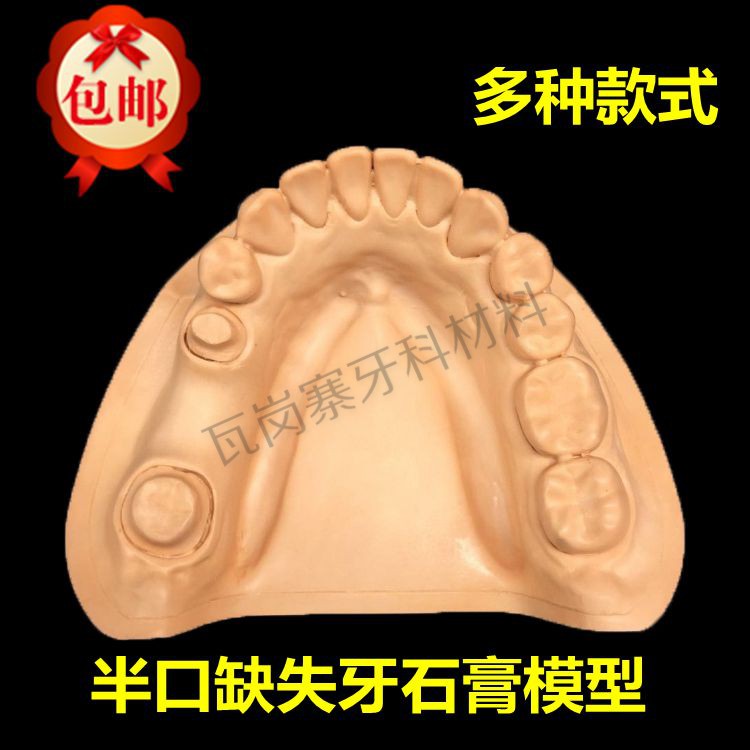 牙科石膏模型 缺失牙石膏模型 标准缺牙牙模 牙齿教学练习包邮