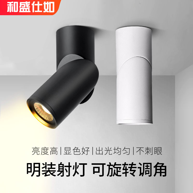 And Shengshi such as Led Ming Mounted Spotlight Ceiling Light-free hanging suction top spotlight 12w20w adjustable ming light