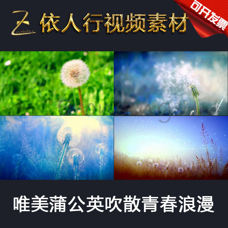 Yi people line LED material VJ big-screen stage film background material meritocratic dandelion blowing loose youth romance