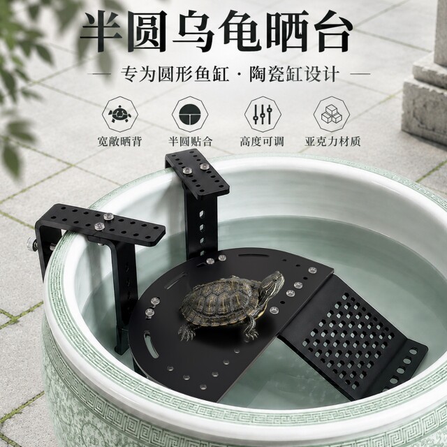 鸿运水族造景装饰