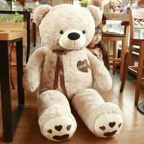 Bear hug bear doll doll Teddy bear cat Ragdoll plush toy Big bear Extra large birthday gift girl