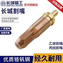 Great Wall Seiko G01-30-100 acetylene cyclic propane liquefied gas plum blossom oxygen cutting nozzle 1#2#3#