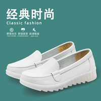 2033 (обновление желе мягкого дна)