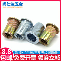 Pull rivet nut color zinc pull cap blue white zinc flat head column rivet nut M3M4M5M6M8M10M12