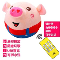 Дистанционное управление морской свинью Красный [999 Песни+USB -зарядка+обучение выступают] и отправьте книги