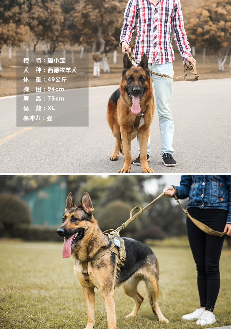 狗狗胸背帶出眾者大型狗狗背帶胸背中型犬胸背帶背心式牽引繩狗繩德牧狗衣服 Yahoo奇摩拍賣