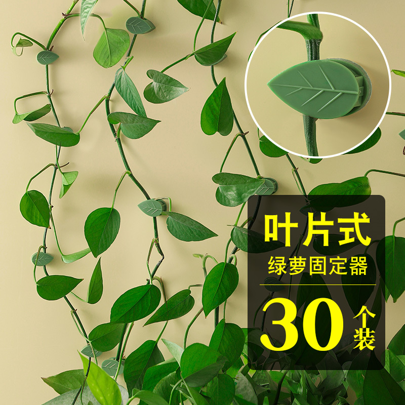 Green Plant Wall Climbing Fixer, Wall-Mounted Green Plant Holder, Flower Fixing Clip, Climbing Vine Suction Cup, Climbing Vine Hook Clip Green Plant Wall Climbing Fixer, Wall-Mounted Green Plant Holder, Flower Fixing Clip, Climbing Vine Suction Cup, Climbing Vine Hook Clip