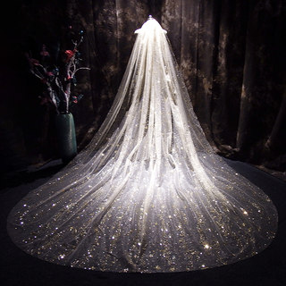 Starry sky sparkling extra long champagne color spray gold veil