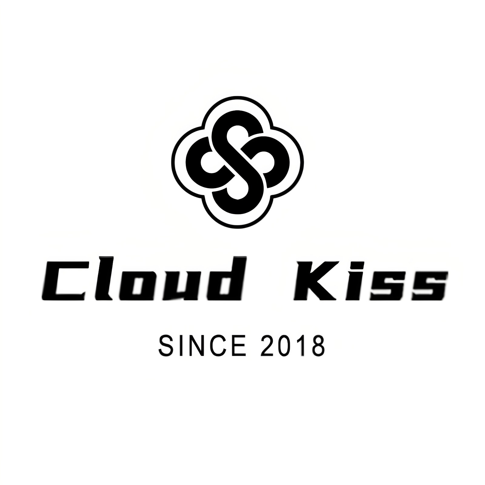 CLOUDKISS的LOGO