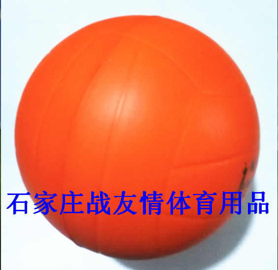 Ballon de volley - Ref 2010465 Image 5