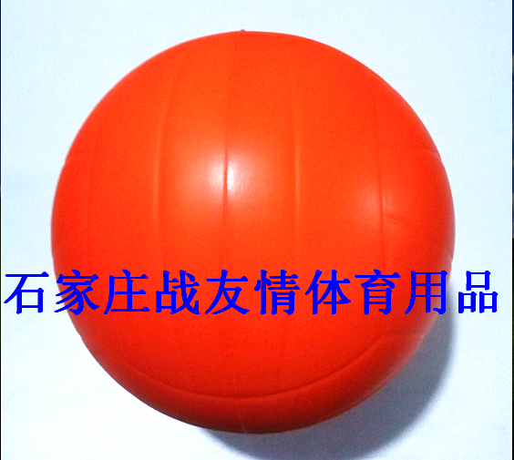 Ballon de volley - Ref 2010465 Image 6
