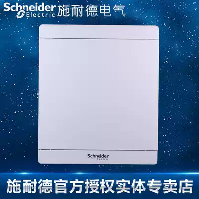 Schneider distribution box Schneider strong box 24-loop wiring box 13684 sky wing dark assembly box white