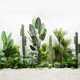 Nordic Artificial Monstera Plant Potted Indoor Floor-Standing Bonsai Decoration Fake Green Plant Monstera Ornament