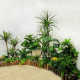 Artificial Plant Landscaping and Indoor Green Plant Arrangement