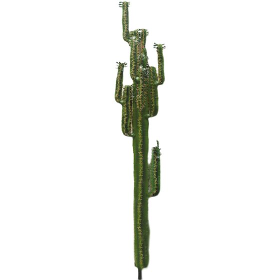 Scandinavian Simulated Cactus Cactus Cactus Mall Scenery Green Plant Model Room Large Window Decoration Landscaping