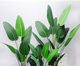 Simulated plant traveler banana loose-tailed sunflower floor-standing green plant potted indoor shop Nordic decorative ornaments