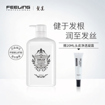 Fei Ling Fat Road Ginkgo hair shampoo balance grease strong and supple shampoo deep clean scalp