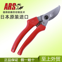 Japanese original imported pruning shears fruit tree thick branch shears Alice ARS 120EU garden gardening tool scissors