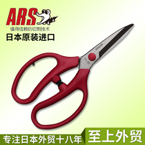 Japan imported stainless steel flower scissors florist scissors flower arranging scissors gardening scissors Alice ARS FL-18-BP