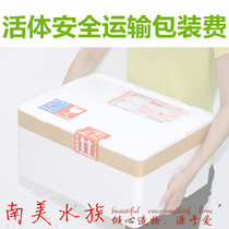 South American water ethnic living packaging fee for fish water grass to watch spirop and anti-fall and pressure not to be shipped