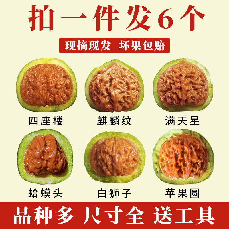 🔥你不可错过的文玩核桃宝藏🔍-小众木作-淘宝好物网