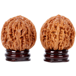 Wenwan Walnut Lion Head 45 Wild Stars