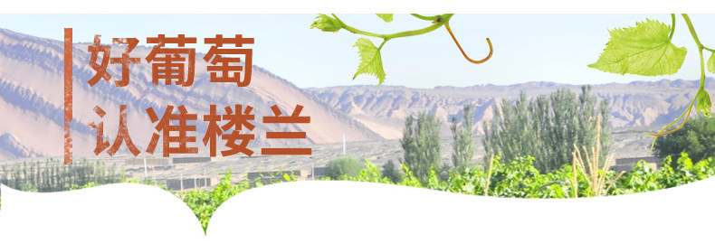 四色葡萄干加_02.jpg