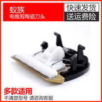 Applicable Ant Pet Puppet Electric Push DDG-S01 DDG-S01 S02 S03 Hairdryer Ceramic Cutter accessories