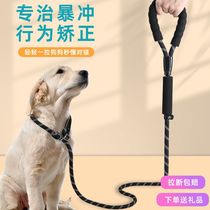 Dog leash explosion-proof p-chain Golden Retriever Teddy adjustable dog chain small medium and large dog walking leash