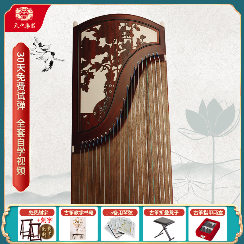 Professional School Industry Playing Level Examination Examination Examination Guzheng Musical Instrument Master Supervision of the Entrance Examination Examination of the Tianzhong Musical Duri of the Appraisal Exam of the Chinese Musical Duri