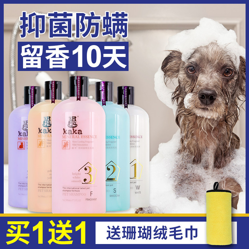 Pooch Body Lotion GOLDEN HAIR SALMOYETEDDY SPECIAL PET SUPPLIES CAT DOG UNIVERSAL BATH BALSAMI POMMERO DEODORO