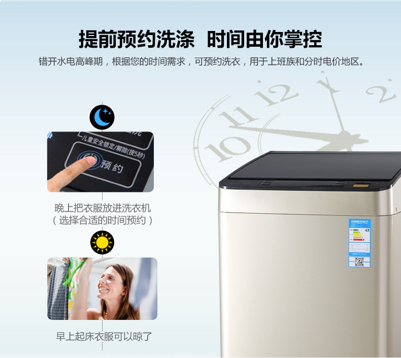x8156_11.jpg
