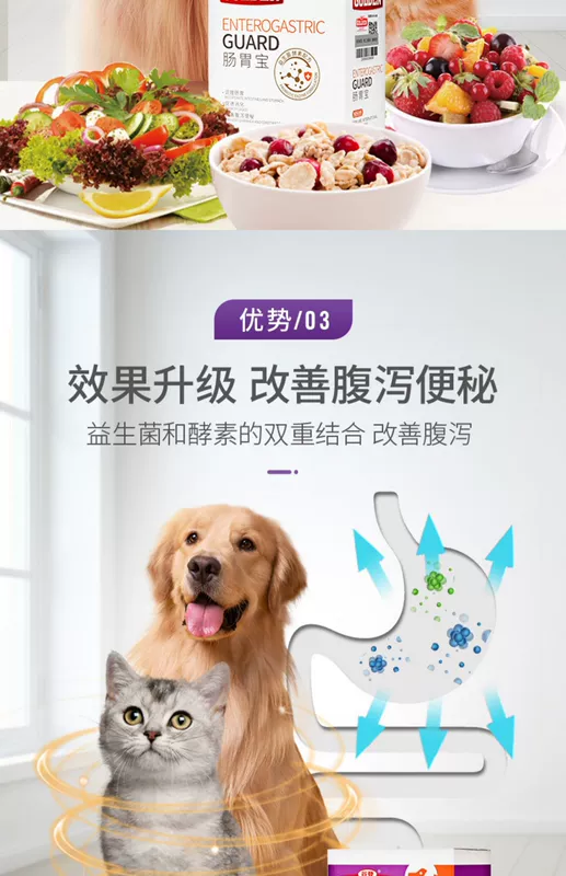 Gudeng tiêu hóa men tiêu hóa men vi khuẩn men chó 12 gói thú cưng mèo mèo mèo hôi miệng tiêu chảy táo bón - Cat / Dog Health bổ sung