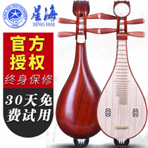 Beijing Xinghai rosewood Liuqin musical instrument 8412-2 Liuqin professional playing Liuqin free accessories