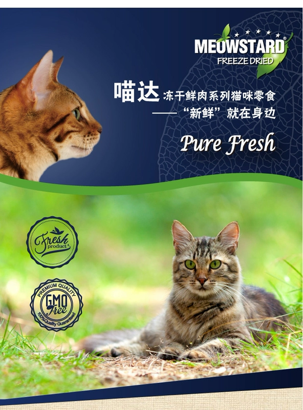 喵 FD thịt tươi đóng băng khô pet mèo đồ ăn nhẹ protein cao thịt khô thịt bít tết cá hồi mực 70 gam 80 gam hạt cho mèo ăn