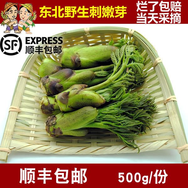 Northeast wild mountain dishes sprout fresh sprout of sprout and sprout of sprout, 500 grams of sprout