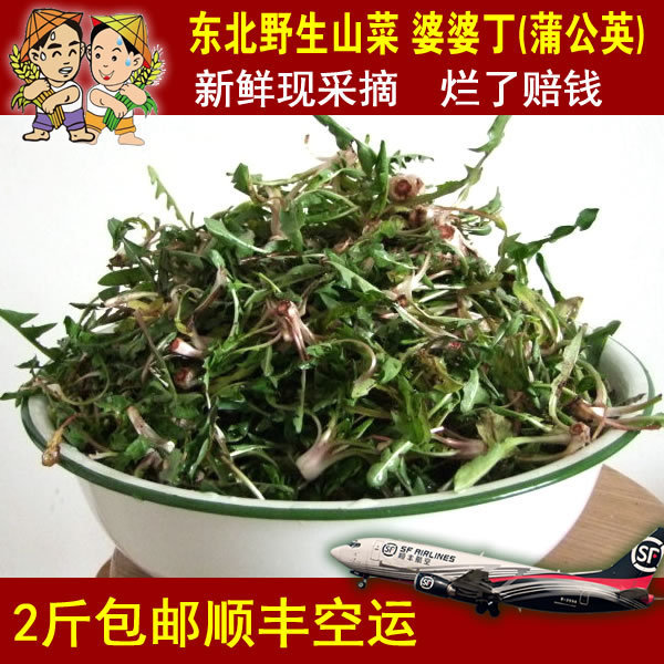 Northeast mountain vegetable fresh wild mountain vegetable mother-in-law Ding dandelion bitter vegetable bitter pockmark 500g SF