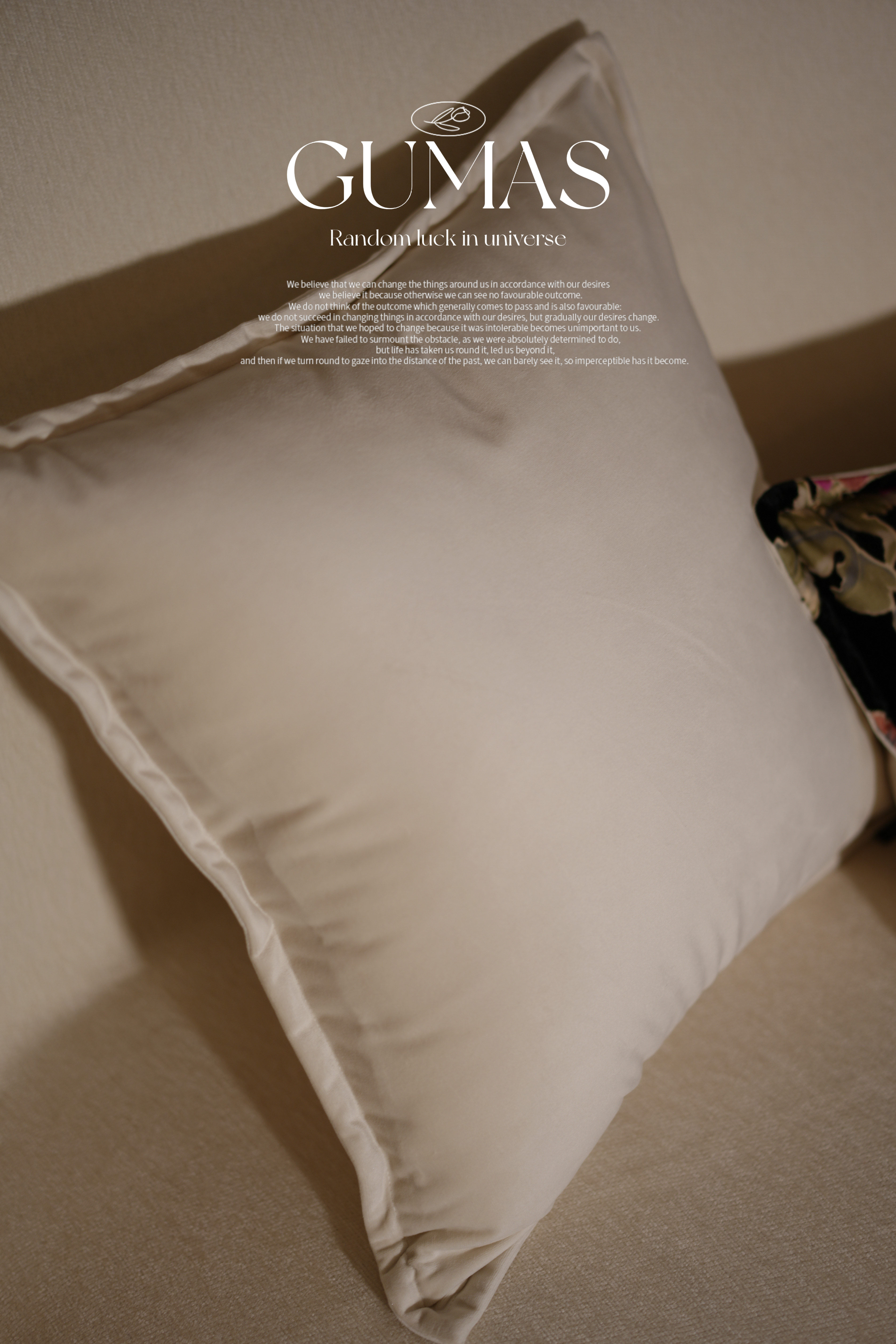 Product detail image