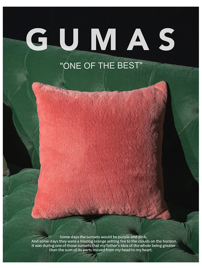 Product detail image