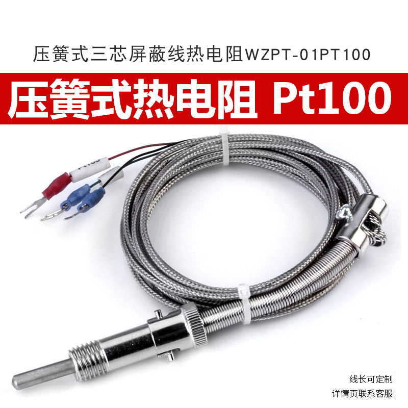 Custom spring type RTD thermocouple Pt100 thermostat monitor Temperature sensor WZPT-01 temperature measurement