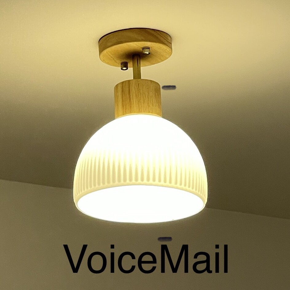 VoiceMail2