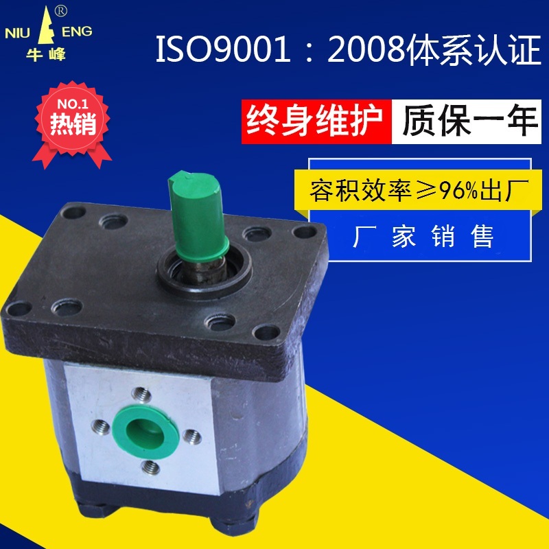 CBN-EF310 left and right flower single flat key tractor harvester hydraulic gear pump high pressure oil pump manufacturer punching drill
