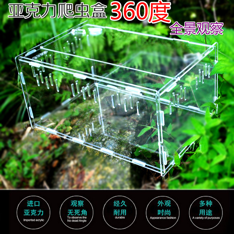 Panoramic high transparent acrylic pet beetle box reptile box acrylic climbing pet breeding box turtle scorpion new product