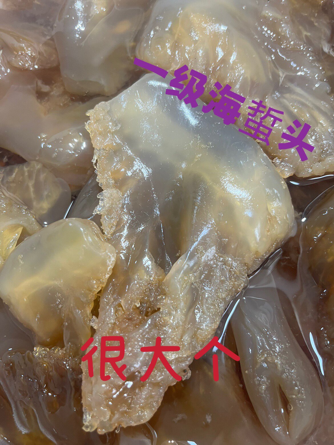 Very good jellyfish head 2 catties will lose weight in the water, please take it carefully