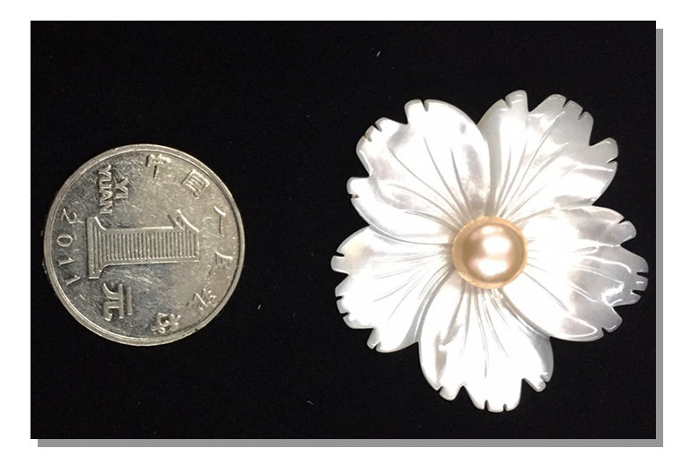 Broche femme en Nacre - Ref 1187138 Image 34